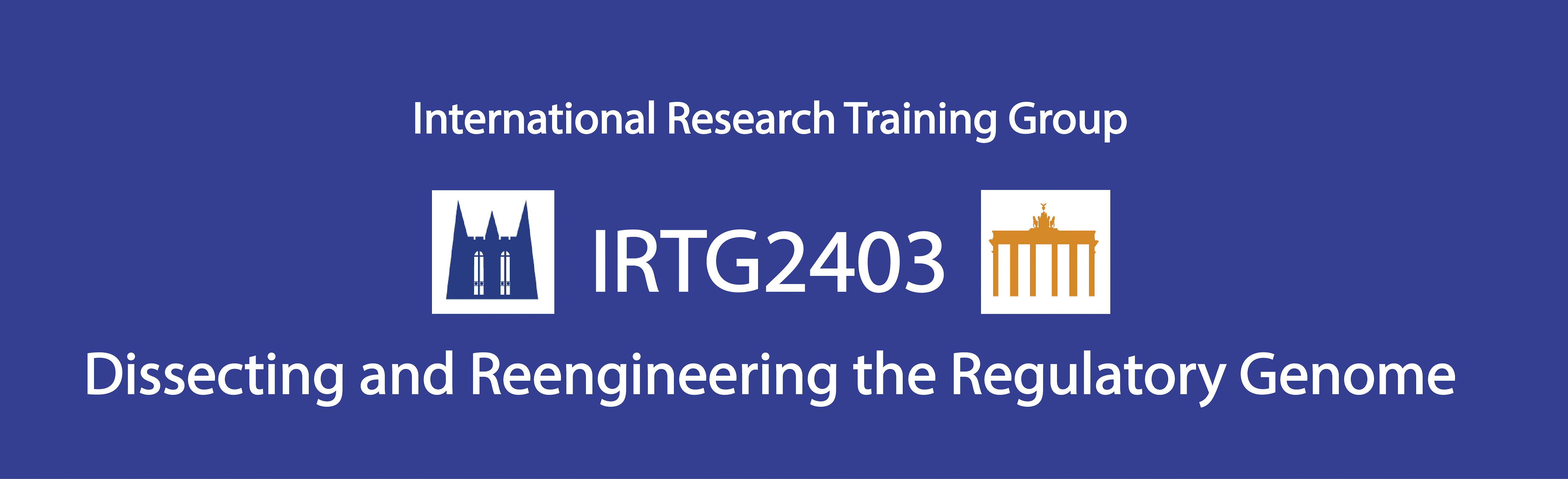 IRTG2403